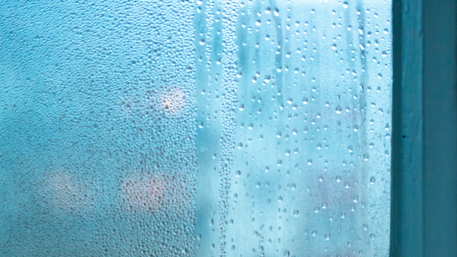 雨粒のついた窓と、窓辺の観葉植物
